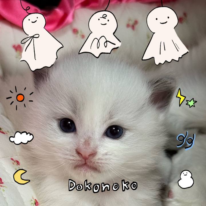 8a1e1fb0 4a5d 4347 95db 52996db4ad44 1749624357315