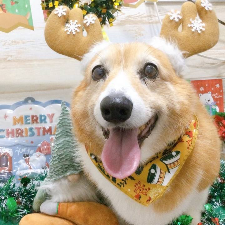 8a1e5dd1 b8ee 4427 a08c 86c9d87b6d5a 1766564847933