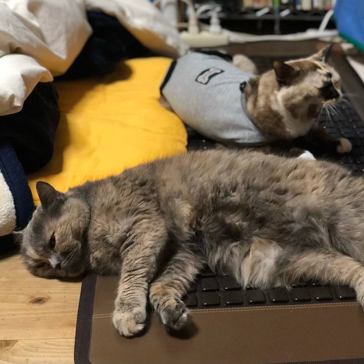 8a1e8149 58dd 4c7a a810 4a646579e197 1667140304056