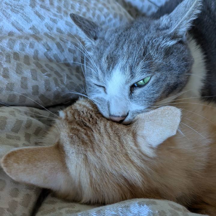 8a1e9127 dc04 4a77 b4cb 144b9840a7f5 1732938713998