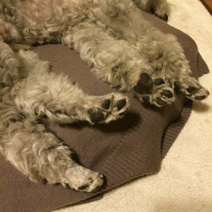 8a1ede57 c5ba 416a 8092 5d9627902ef9 1766623910869