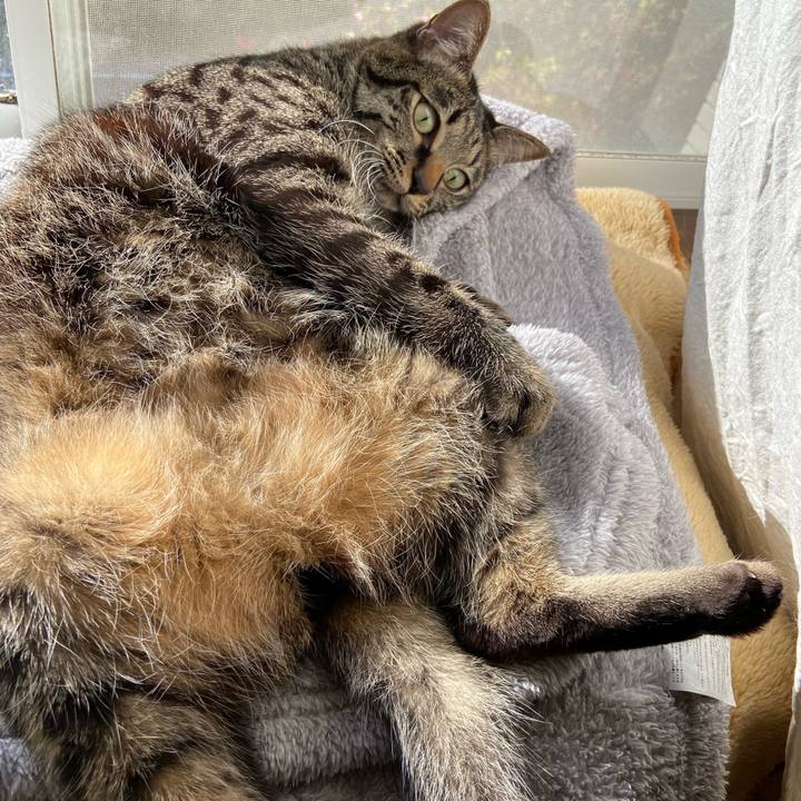 8a1ee0cd 3a13 45a9 ba43 36d478bb4a85 1648814910019