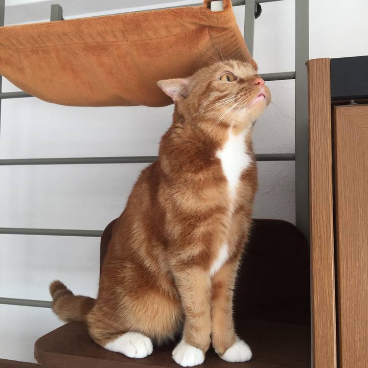 8a1eeab9 735d 4417 9035 582078f2fd3e 1577927051181