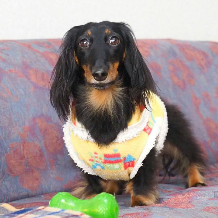 8a1ef014 40d5 4f1c a657 4be94abc970a 1520041486935