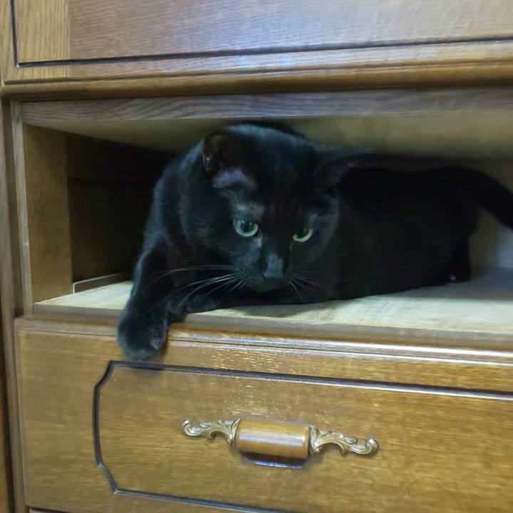 8a1f4bc6 5252 4ca1 a2a1 b5a588a6be11 1764989944661