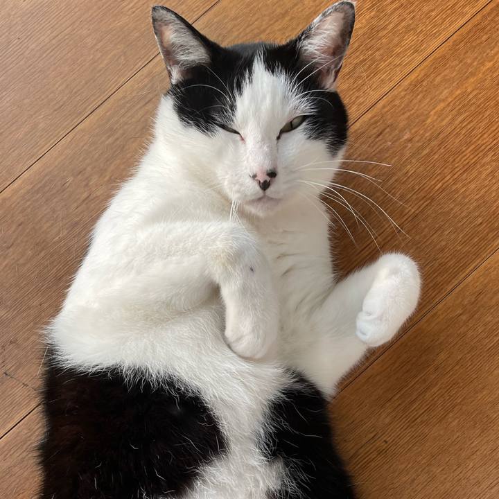 8a1f5876 820e 4aa5 a113 f80953246ccd 1685175392729