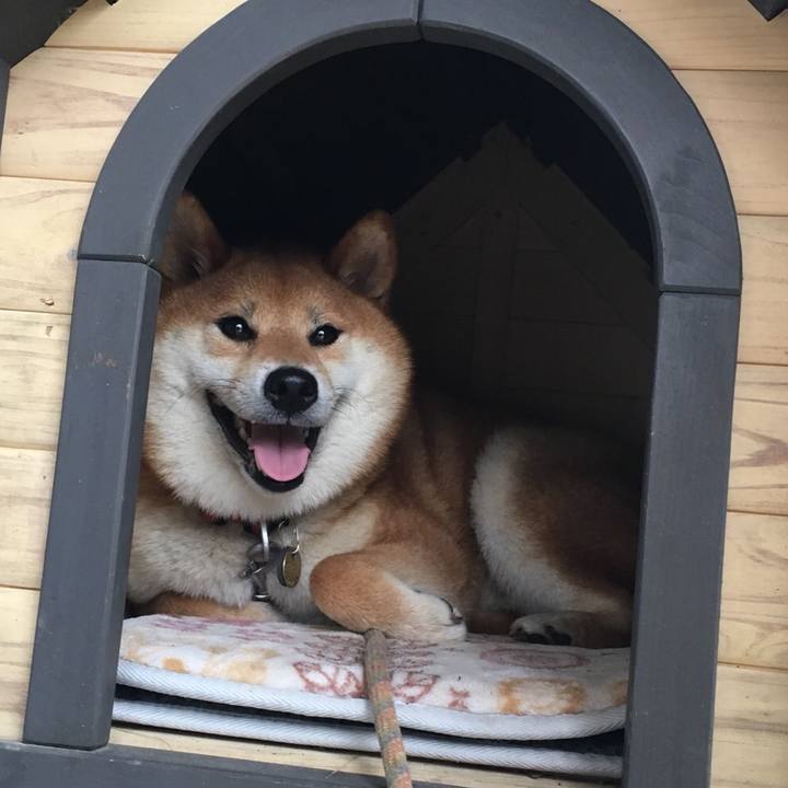 8a1f7279 eb47 4d33 9ef0 e8a7fba6964e 1531867064648