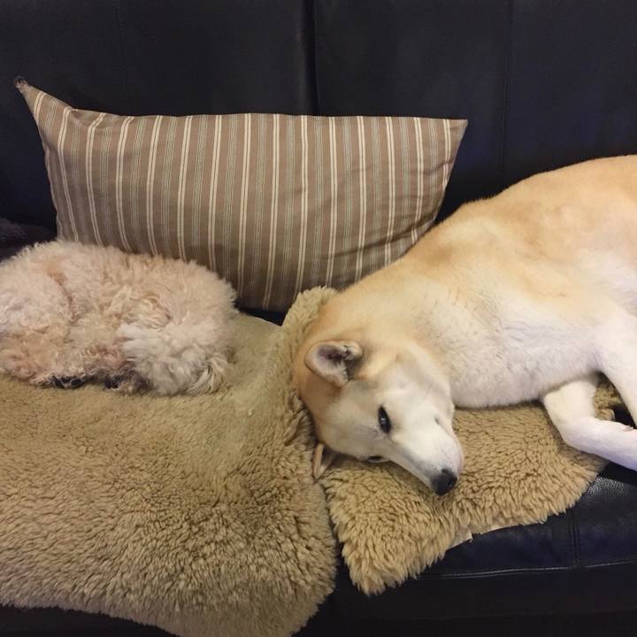 8a1f80ac 4d21 4903 8730 eb1662474359 1517816538409