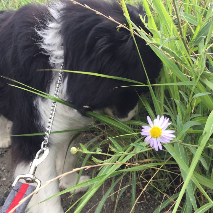 8a1fb0f7 8bd0 45a3 a455 257e66dd7ce6 1561765000179