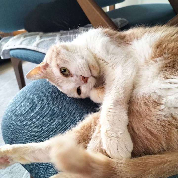 8a1fdbd9 63ce 435c b3f2 88036bfc85c7 1702853141911