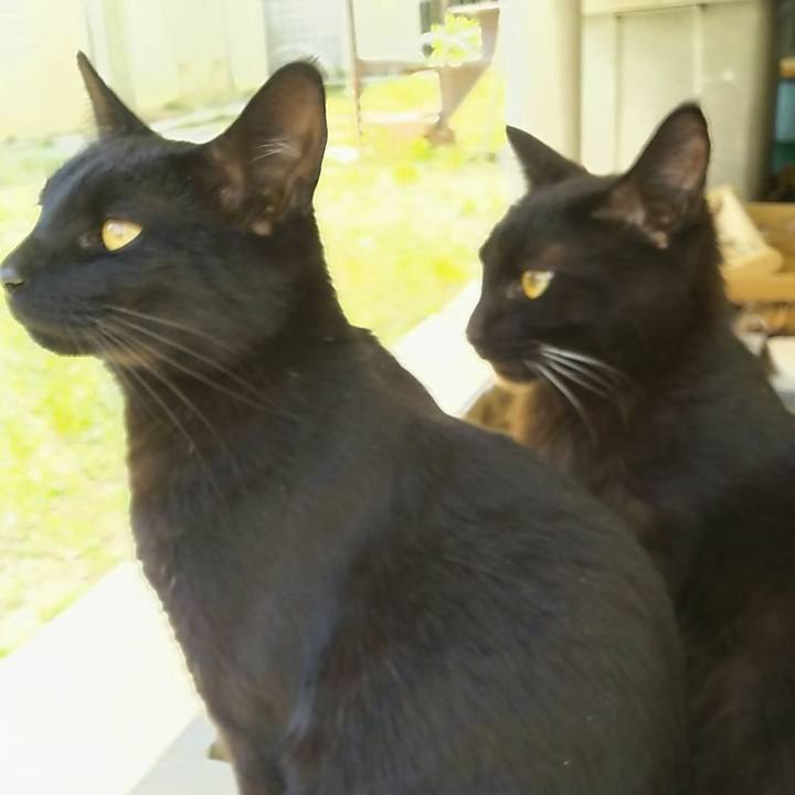 8a1fe7a3 44e0 4d94 b77b 57c281c7d6eb 1556945909019