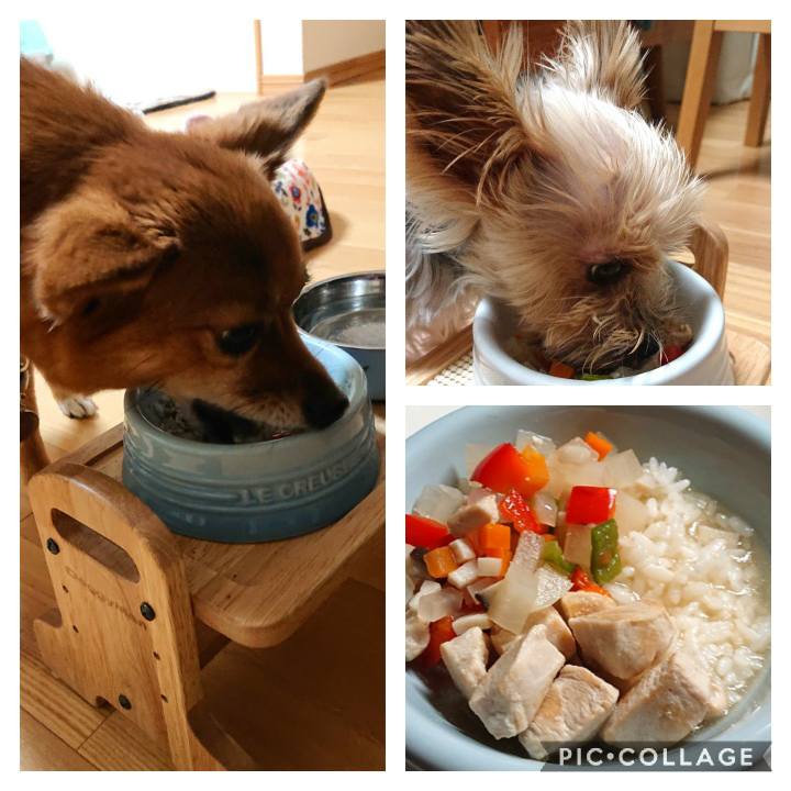 8a1fff15 9174 4d33 9f48 3503e9627b64 1578910319754