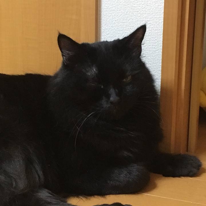 8a2088c0 8bc4 431b af8f 5abaa59a03db 1537531762031