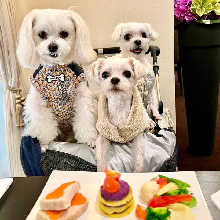 8a20c1f8 b4db 4047 a3bf 2ce24974b4da 1672302813898