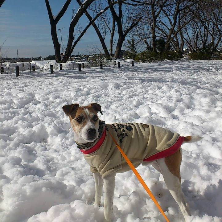 8a20ca79 9037 4adf 820c 0475612cc2dc 1565607894405