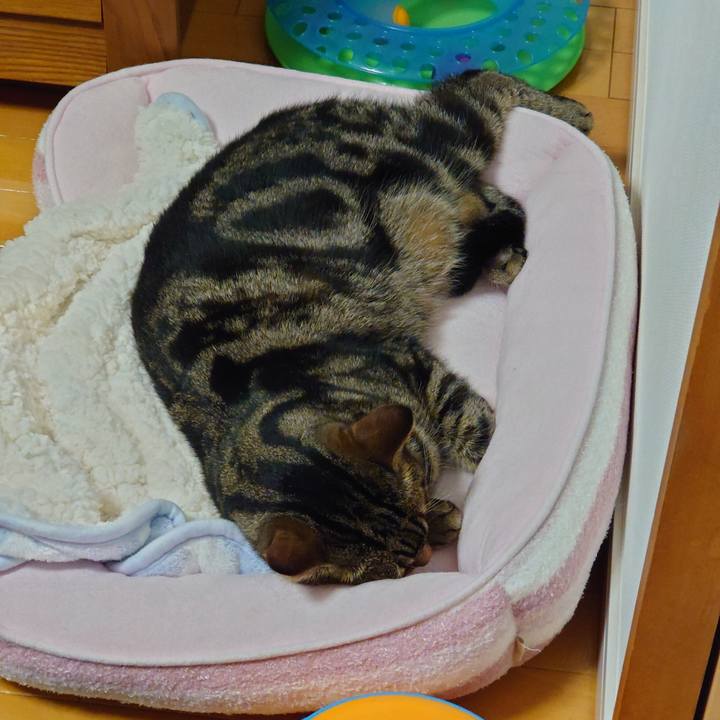 8a20eed3 c5ee 4f0e b09b e4cafaae6ada 1635333731466