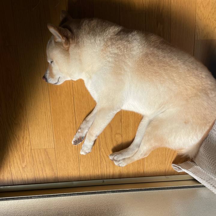 8a21126a ff54 4fec 93e8 0a8203de3698 1675652738818