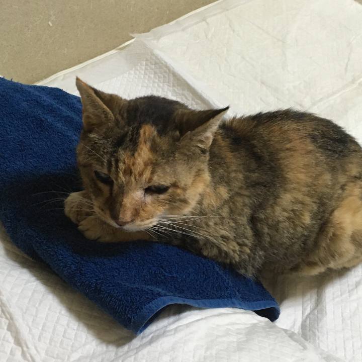 8a213574 2e89 4db4 9f9b 86820b430251 1579432041369