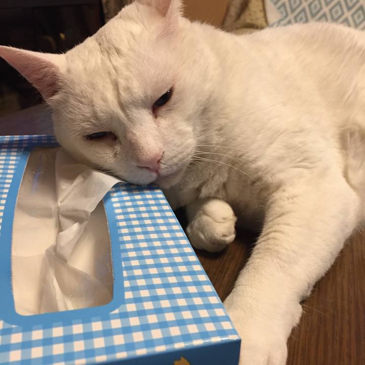 8a218ee2 7158 492c 8a03 551e619e49b1 1528147327426