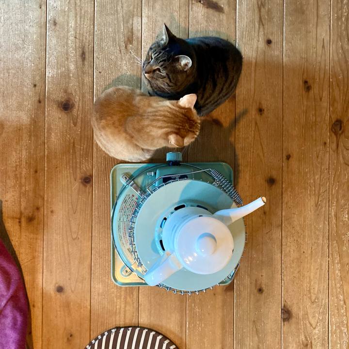 8a21a28c 42e4 4072 9832 9c4d298ebe06 1705618316341