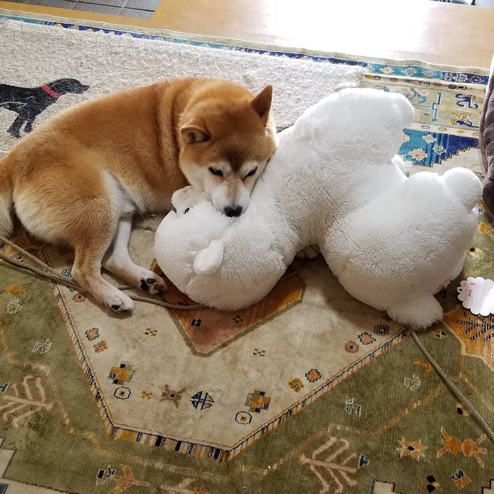 8a21d354 ac68 44e2 83e0 b1180f2b1513 1529988100853