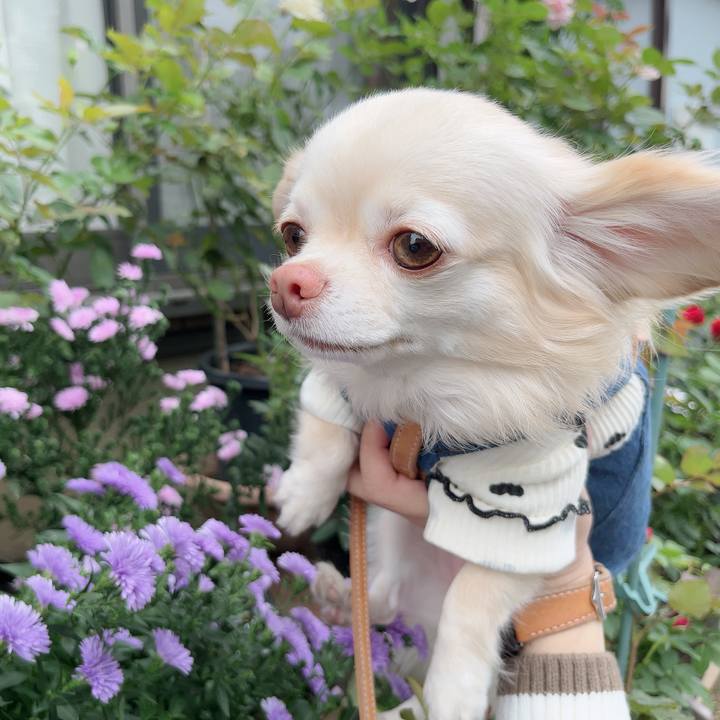 8a21dbce f2f6 40d0 a34c a44035519b54 1729514466341