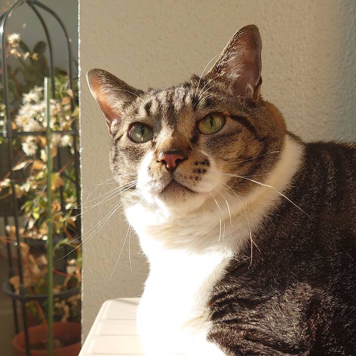 8a21ea47 6ab1 4ac3 b484 d47784744675 1605576711652