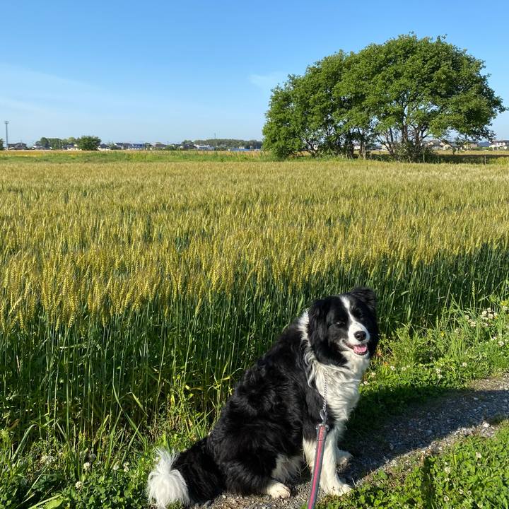 8a223774 633a 4497 a905 4b8a326b5fe2 1620257647981