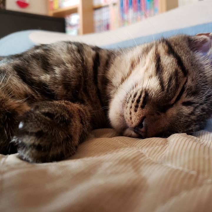 8a223a8c 853f 472c a17b 1135f715195a 1542086090996