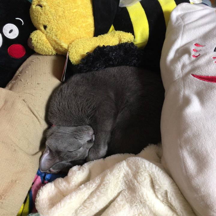 8a22930a 1c4a 4f2e a22c 7acbec0816df 1511092201797