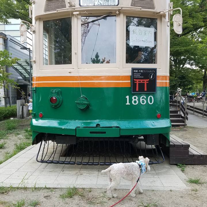 8a22b37f 27b1 4e9a 979e 164bdc81b69e 1536485029546