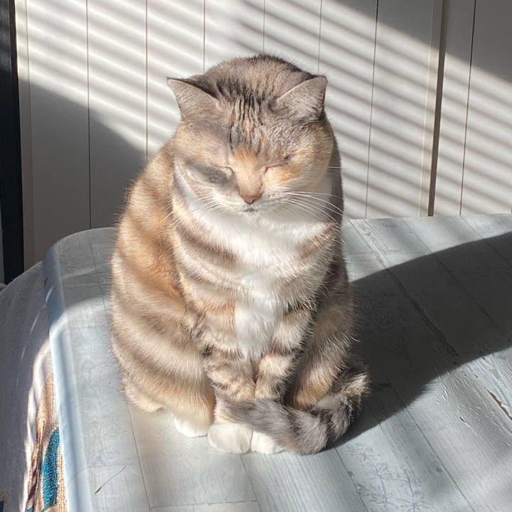 8a22bee3 ada7 4f2d 9b7e c3054ce36ec0 1704501970014