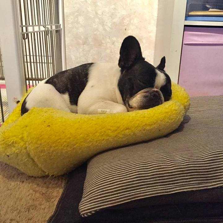 8a22fa0d 1562 4ca6 9329 c2664a103d26 1527806923489