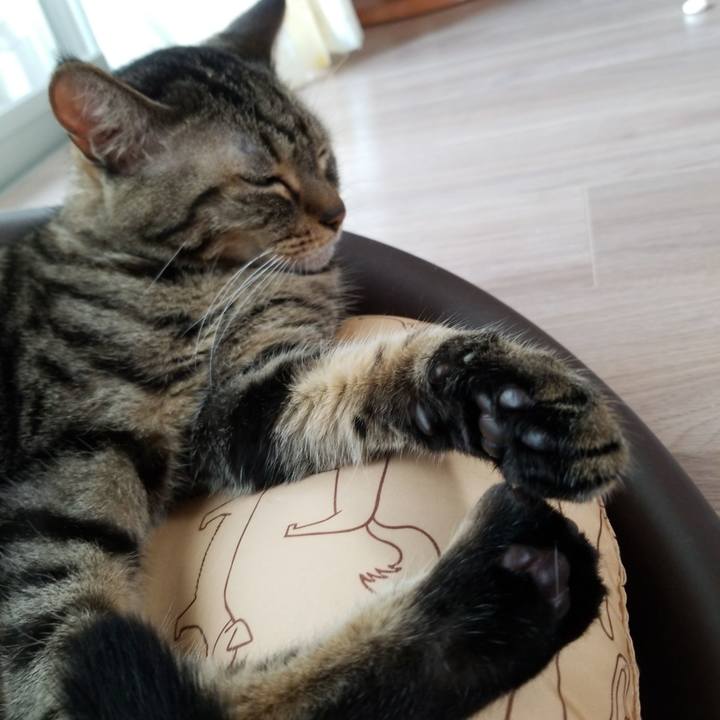 8a2320b8 33ad 4d59 8db9 668a0c7c2b60 1567810216882