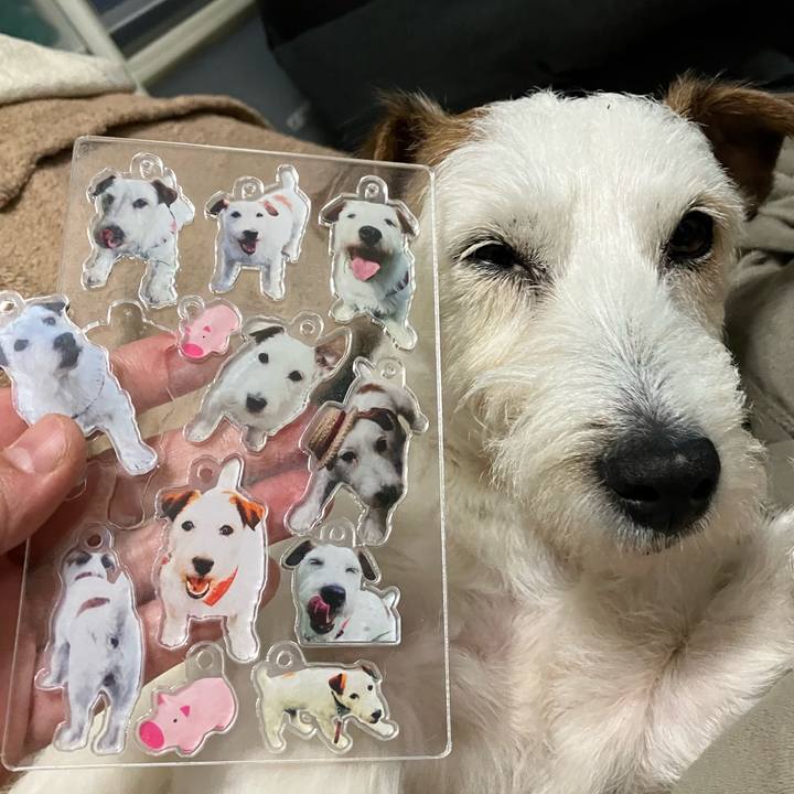 8a234139 54bf 49ba 9490 d76f2215f744 1680859398595