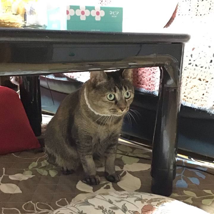 8a234df0 556c 42de b3f5 695b67c00032 1727436234246