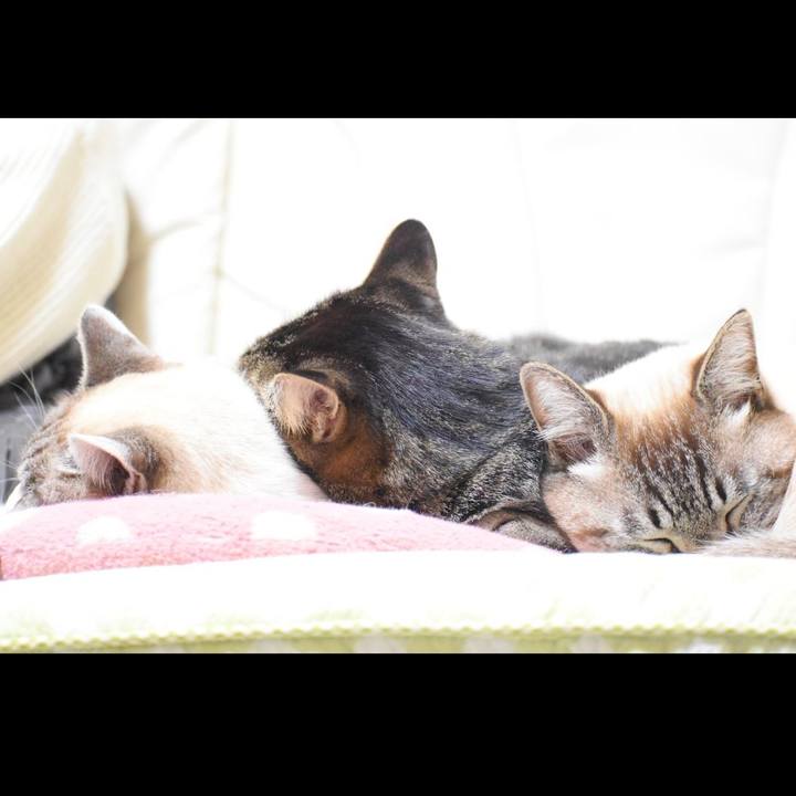 8a237da0 49ba 4da6 be44 feabbcbb766f 1518180685370