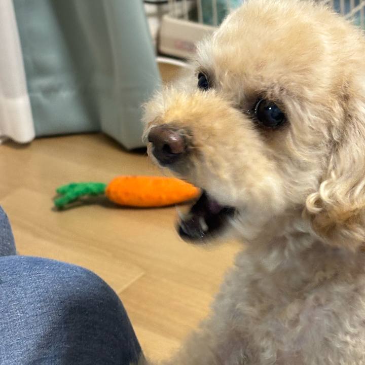 8a23b35b 51fe 44db acaa 7ce0bf14e10d 1756556296925