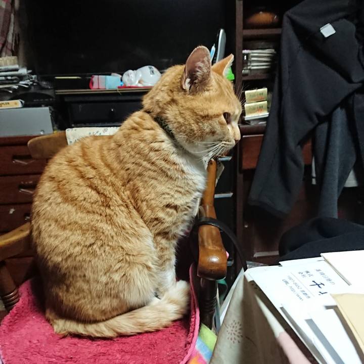 8a23cbba af39 4013 928b 7334faae3ad5 1581541370367