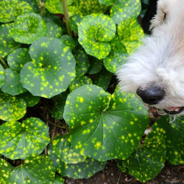 8a23cfc4 3d52 4e64 9b53 7cc69e46c5da 1669001443382