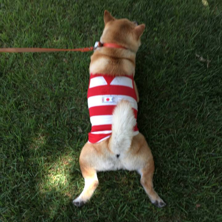 8a23d78a 4003 4807 a88a 8ebd59d5731c 1559977198030