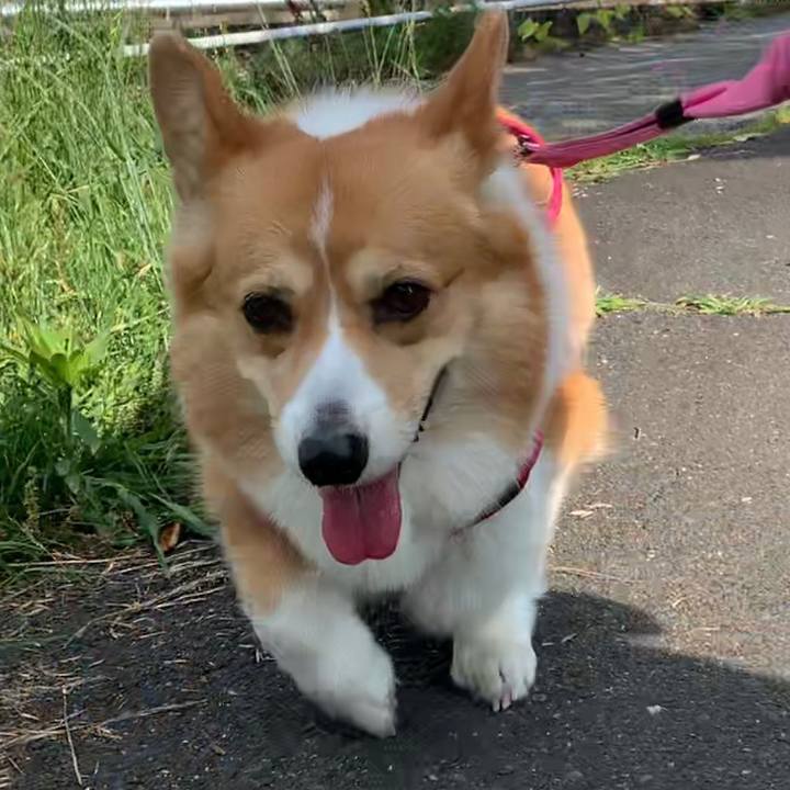 8a23dc12 ae98 49d0 b115 a0e2644ab7c9 1622415765224