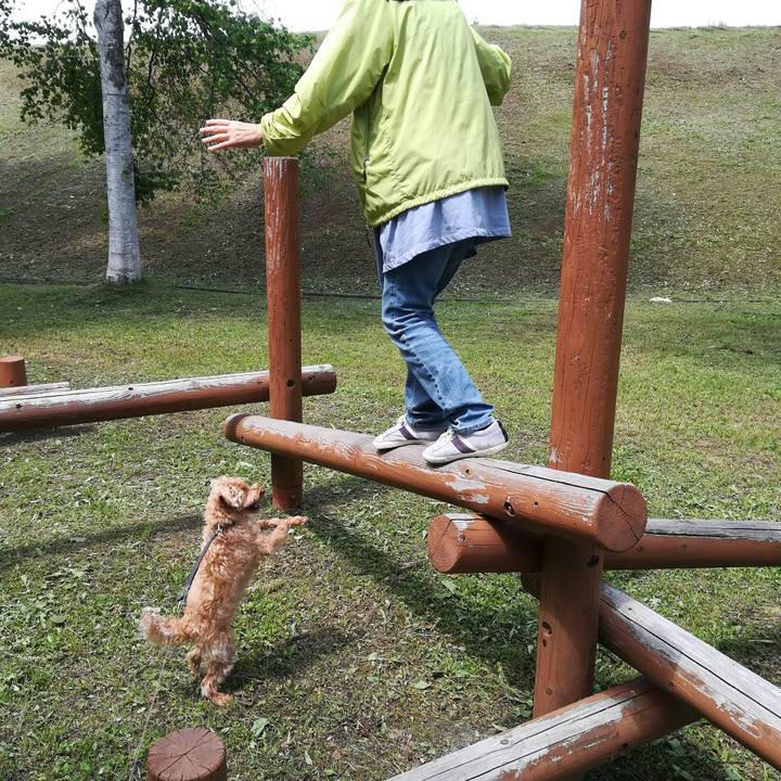 8a23fd5e db24 4710 94bc c6e3a3b344e2 1529805325267