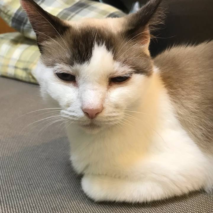 8a240f44 c29b 4b90 afd6 a1323cc1af2e 1601266912792