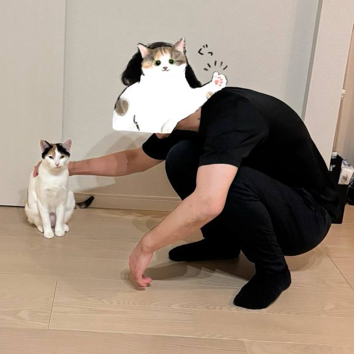 8a246376 5cf8 4378 b440 f14a6decd657 1769418625874