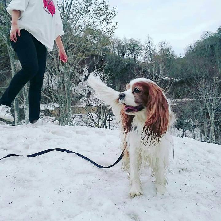 8a2480f7 b9db 4c99 b871 de239305f6b9 1525260460975