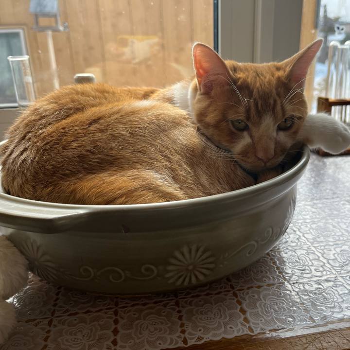 8a248f22 16e3 4790 bdeb 6a7e672dea86 1677889715604