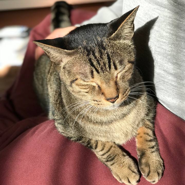 8a24ad39 b33f 4b6b 8304 8b757008c025 1513645480479