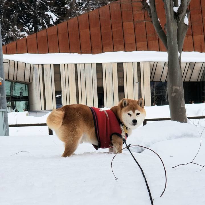 8a24ee77 5226 4e7a bd11 04952d3b2ca6 1609992876341