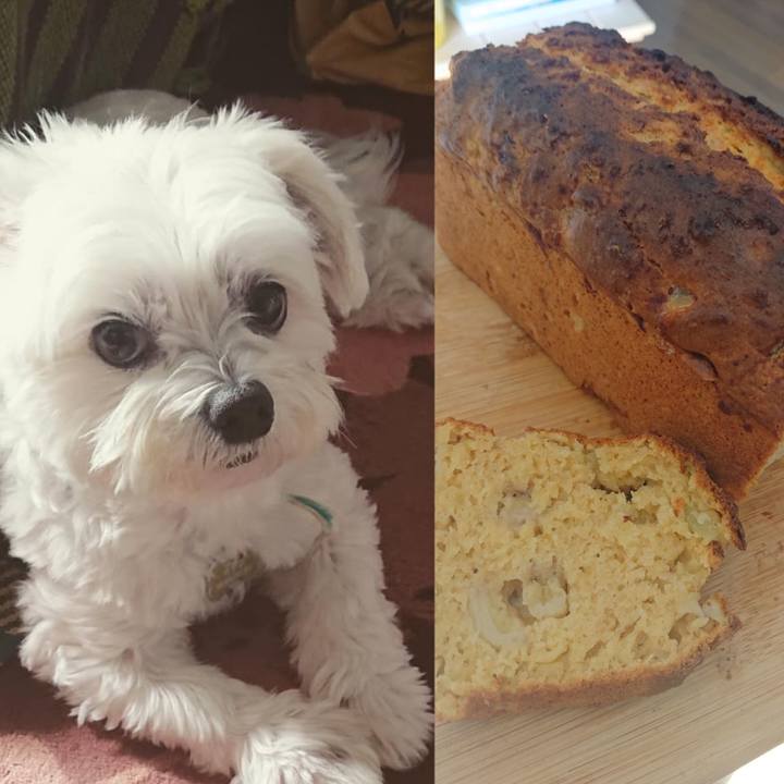 8a259047 3931 4fbe 85c6 e62fe8b1db55 1636032280316